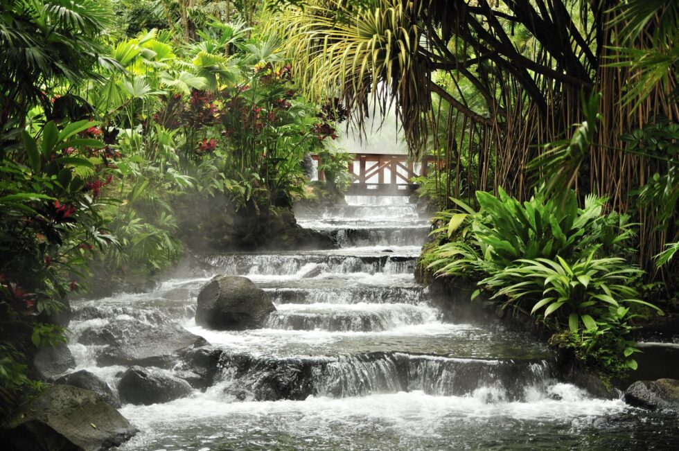 Costa Rica_Regenwald_Wasserfall_Brücke_iStock_137892932-min