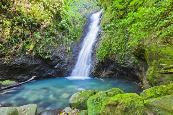 Karibik_Grenada_Wasserfall_iStock_155353054-min