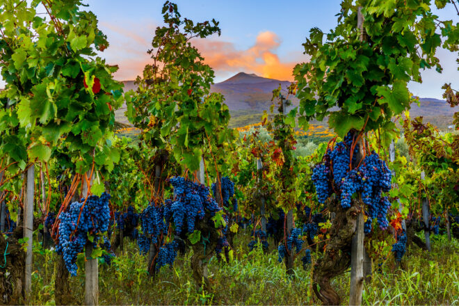 LP_Amalfi_Sizilien_06