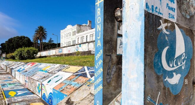 Portugal_Azoren_Faial_Horta_freie-Onlinenutzung_Huber_20429752-min