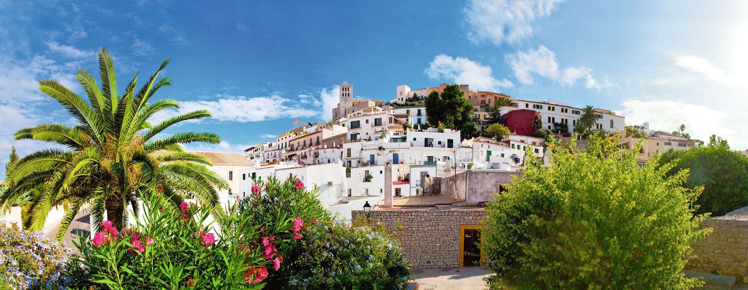 Mediterrane Stadtansicht mit weißgetünchten Häusern und Palmen im Vordergrund